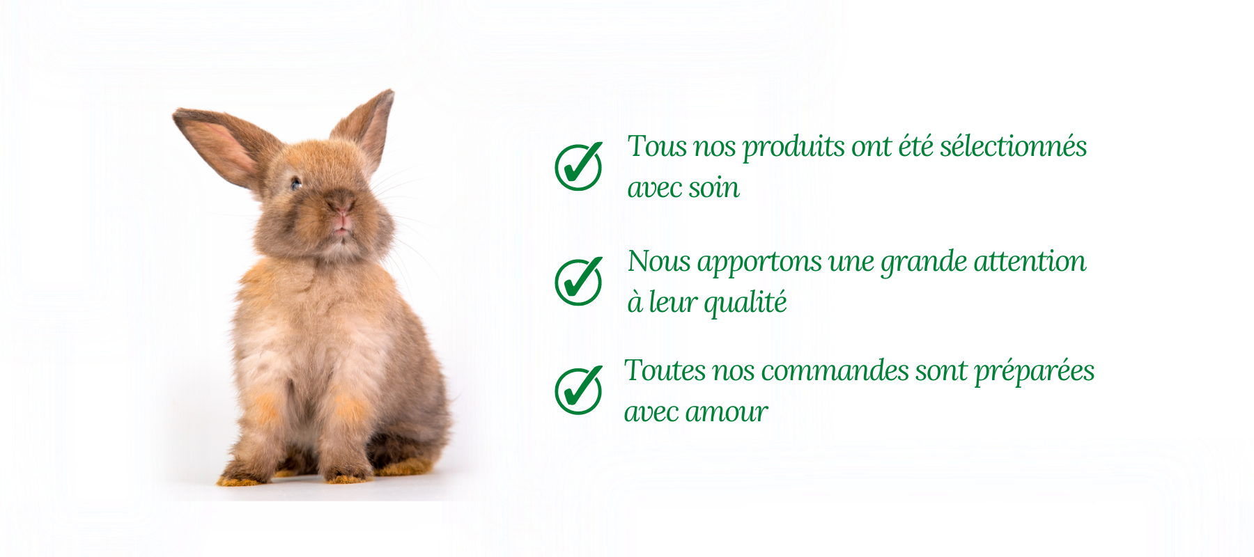 Les granulés pour l'alimentation de son lapin : comment les choisir ?