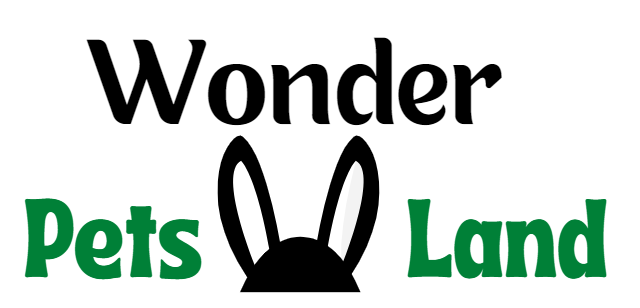Tout savoir sur les granulés pour lapin - WonderPetsLand